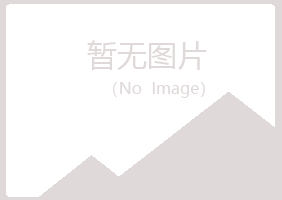 鹤壁山城埋没音乐有限公司